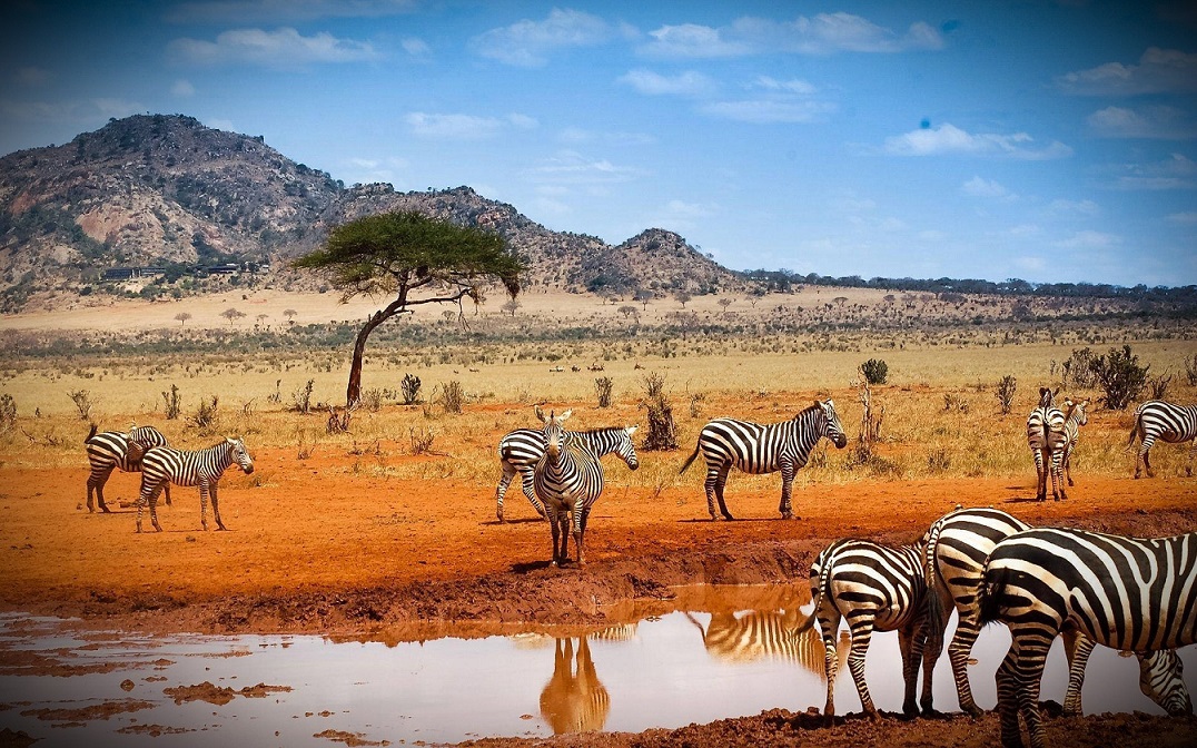 Kenya
